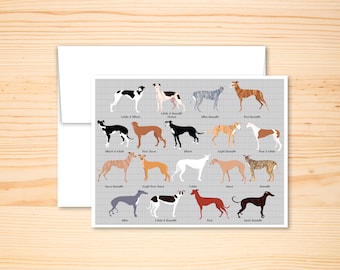Greyhound color chart blank greeting card, Funny Animal Card, Anniversary