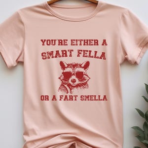 Are You A Smart Fella Shirt, Retro Cartoon T Shirt, Weird T Shirt, Meme T Shirt, Trash Panda T Shirt, Unisex