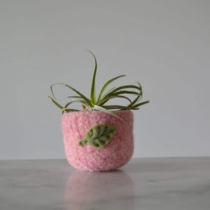 Air Plant Planter Pale Pink Felted Bowl with Sage Green Leaf Ring Bowl Catch All Plant Pot Gifts for Gardeners image 1