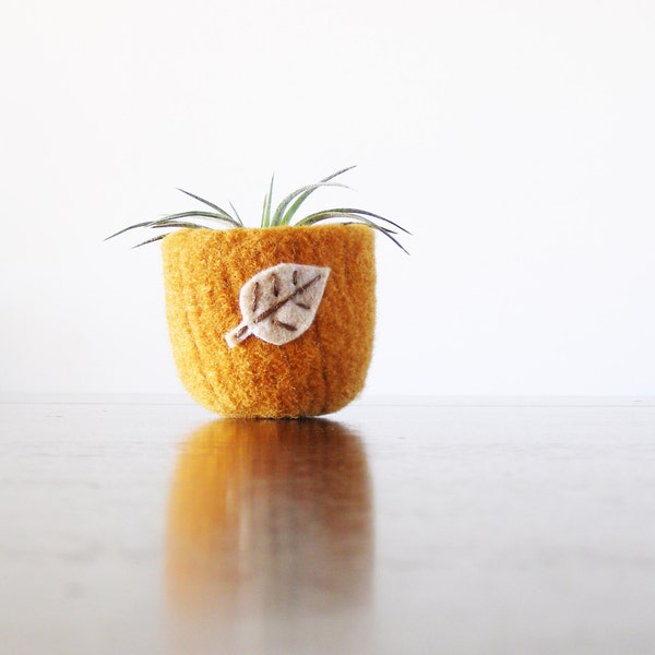 wee little air plant container - pumpkin orange wool felted bowl with oatmeal felt leaf  - ring bowl - autumn home decor