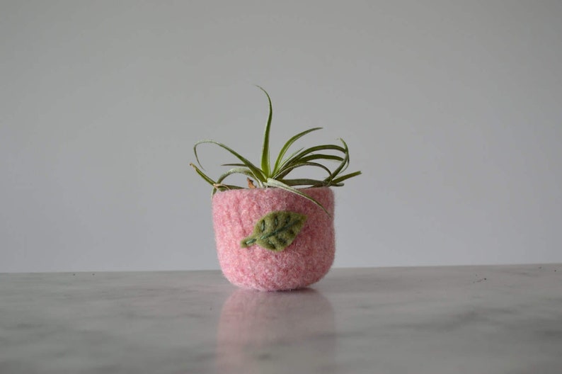 Air Plant Planter Pale Pink Felted Bowl with Sage Green Leaf Ring Bowl Catch All Plant Pot Gifts for Gardeners image 1