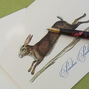 Personalized Bunny Rabbit Monogram Note Cards Color Stationery Set 10 Woodland Hare Natural History Antique Image Monogrammed NoteCards