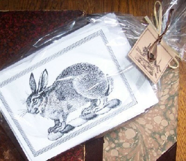 May include: A black and white illustration of a rabbit sitting on its haunches. The rabbit is drawn in a realistic style with detailed fur and whiskers.