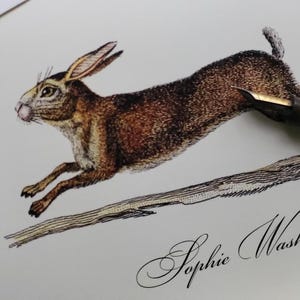 May include: A detailed illustration of a brown rabbit leaping over a branch. The rabbit is drawn in a realistic style with intricate details of its fur and anatomy. The image is signed "Sophie Wash" in elegant cursive.
