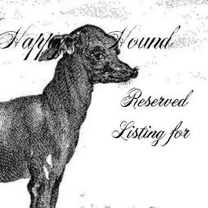RESERVED Horse File