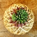 SucculentDESIGNS