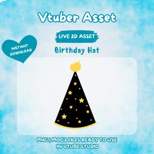 Vtuber Asset | Rigged Birthday Hat or Black Hat, Premade Assets, Vtuber, Hat Assets, Animated Asset, Prop, Vtuber Hat, Livestreaming