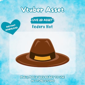 Vtuber Asset | Rigged Fedora Hat or Brown Hat, Premade Assets, Vtuber, Vtuber Prop, Animated Asset, Prop, Streaming Asset, Gift