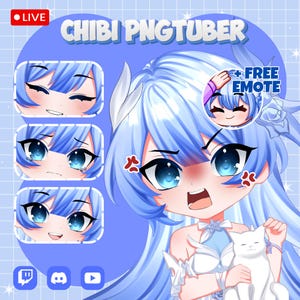 CUSTOM Chibi PNGTuber Avatar, PNGTuber Commission, Cute Streaming Avatar Model, Custom PNG Model, Kawaii PNGTuber Gift
