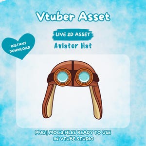 Vtuber Asset | Rigged Aviator Hat, Premade Assets, Vtuber, Vtuber Prop, Animated Asset, Prop, Streaming Asset, Gift
