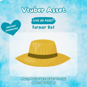 Vtuber Asset | Rigged Farmer Hat, Premade Assets, Vtuber, Vtuber Prop, Animated Asset, Prop, Streaming Asset, Gift