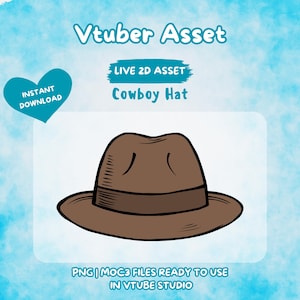 Vtuber Asset | Rigged Cowboy Hat or Brown Hat, Premade Assets, Vtuber, Vtuber Prop, Animated Asset, Prop, Streaming Asset, Gift