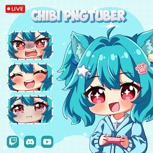 ANPASSAD PNGTuber-avatar | Anpassad Chibi PNGTuber-uppdrag | Streamingmodell PNG | Kawaii VTuber-present