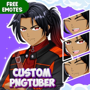 Benutzerdefinierte PNGtuber | Benutzerdefinierte PNGtuber Charakter für kommerzielle Nutzung | PNGtuber für Streamen | PNGtuber Auftragsarbeit | PNGtuber Modell | PNGtuber Anime