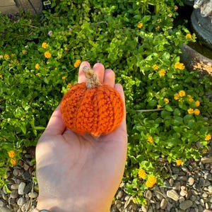 May include: A hand holding a small, crocheted orange pumpkin. The pumpkin has a brown stem and is made with a textured yarn.