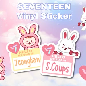 Seventeen Miniteen Vinyl Sticker | KPOP Bias waterproof sticker for Carat Seventeen KPOP stickers