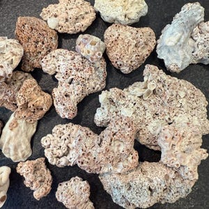 May include: A selection of beige and off-white coral and rock formations. The pieces have a porous, textured surface with many small holes and crevices. Some pieces have a reddish-brown hue, while others are lighter in colour.