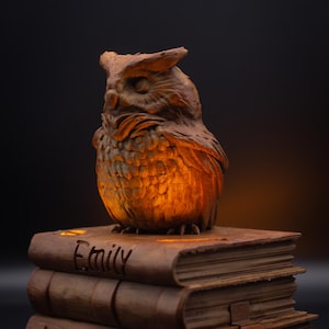 May include: A brown, carved owl figurine sits on a stack of three faux leather books. The word "Emily" is etched into the top book. The owl and books are lit with a warm, orange glow against a dark background.