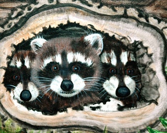 Shy Raccoons Art Print