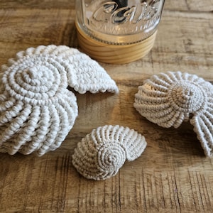 Op de afbeelding: Drie gehaakte schelpen in verschillende maten, gemaakt van wit garen. De schelpen zijn gerangschikt op een houten oppervlak.