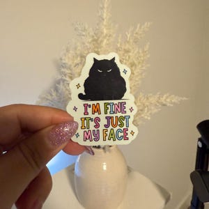 May include: A sticker featuring a black cat illustration with the text "I'M FINE IT'S JUST MY FACE" in colorful letters. The cat has an angry expression. The sticker is held in front of a vase with dried flowers.