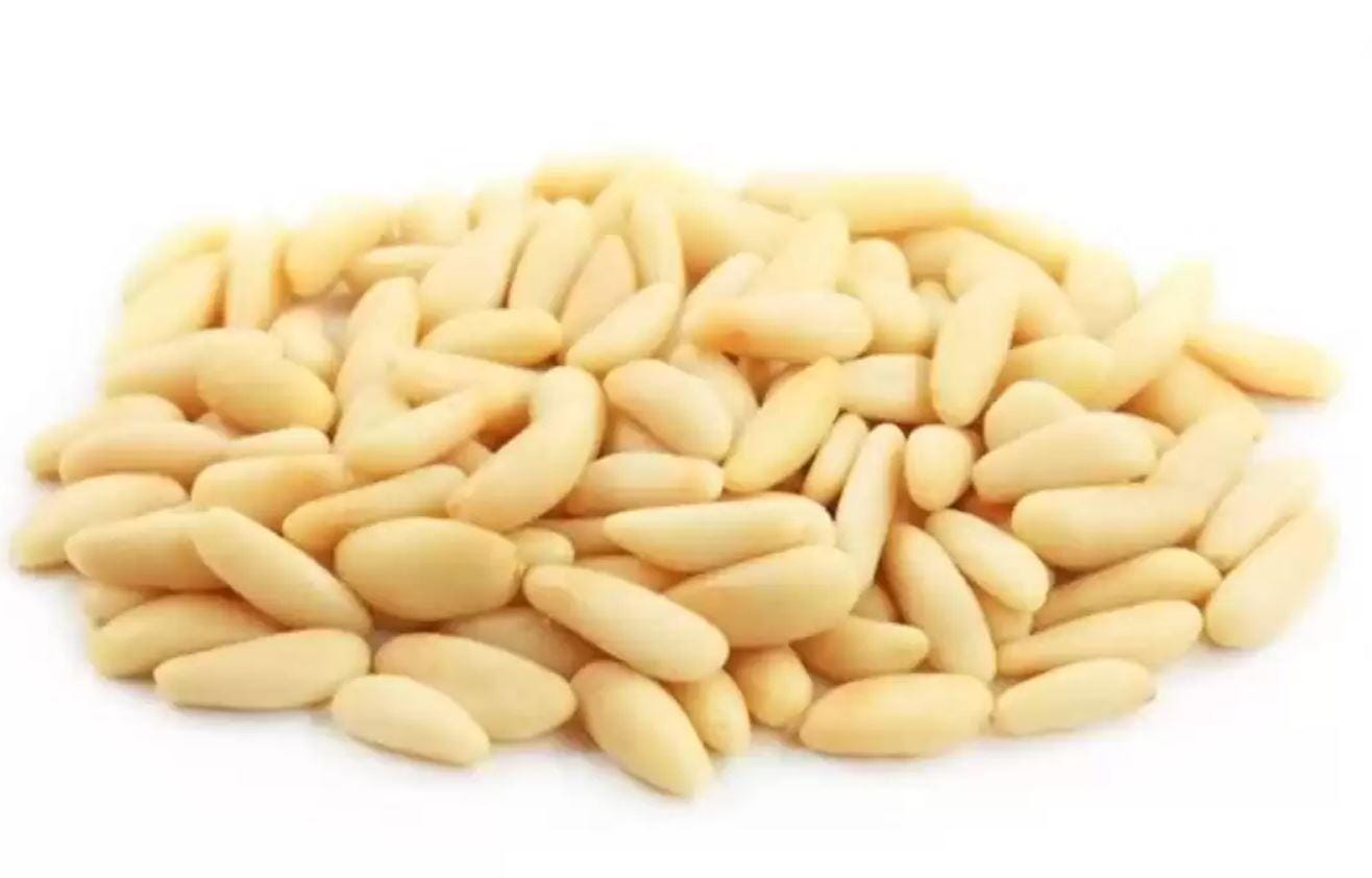 Pine Nut Kernel ,pine Nuts Whole Seeds 100% Natural Kernels