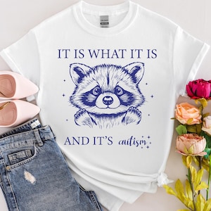 Autism Shirt,  Raccoon Meme Tee, Funny Mental Health Tshirt, Weirdcore Clothing, It Is What It Is, Autistic, Silly Gift for Raccoon Fans