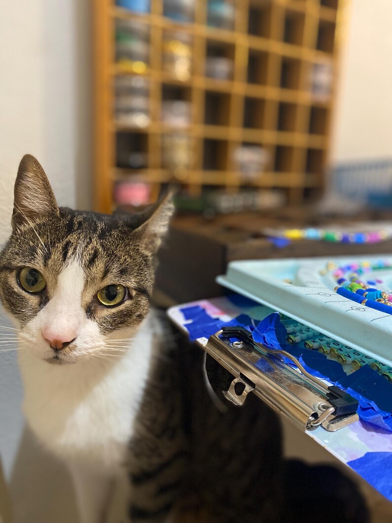 CAT LADY for KAMALA Bluefriendship Bracelet Project Vote Blue Vote