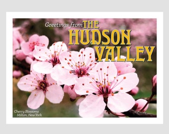 Hudson Valley Cherry Blossoms Postcard - Set of 10