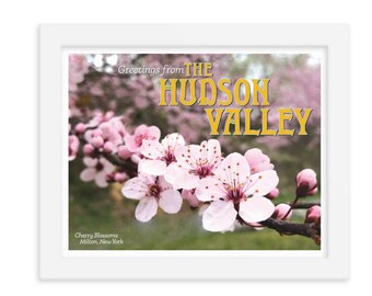 Hudson Valley Cherry Blossoms Poster 8 x 10 inch - Framed Print