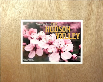 Hudson Valley Cherry Blossoms Decoupage