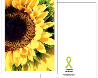 1 Sunflower Greeting Card and Envelope in Support of Lymphoma Awareness