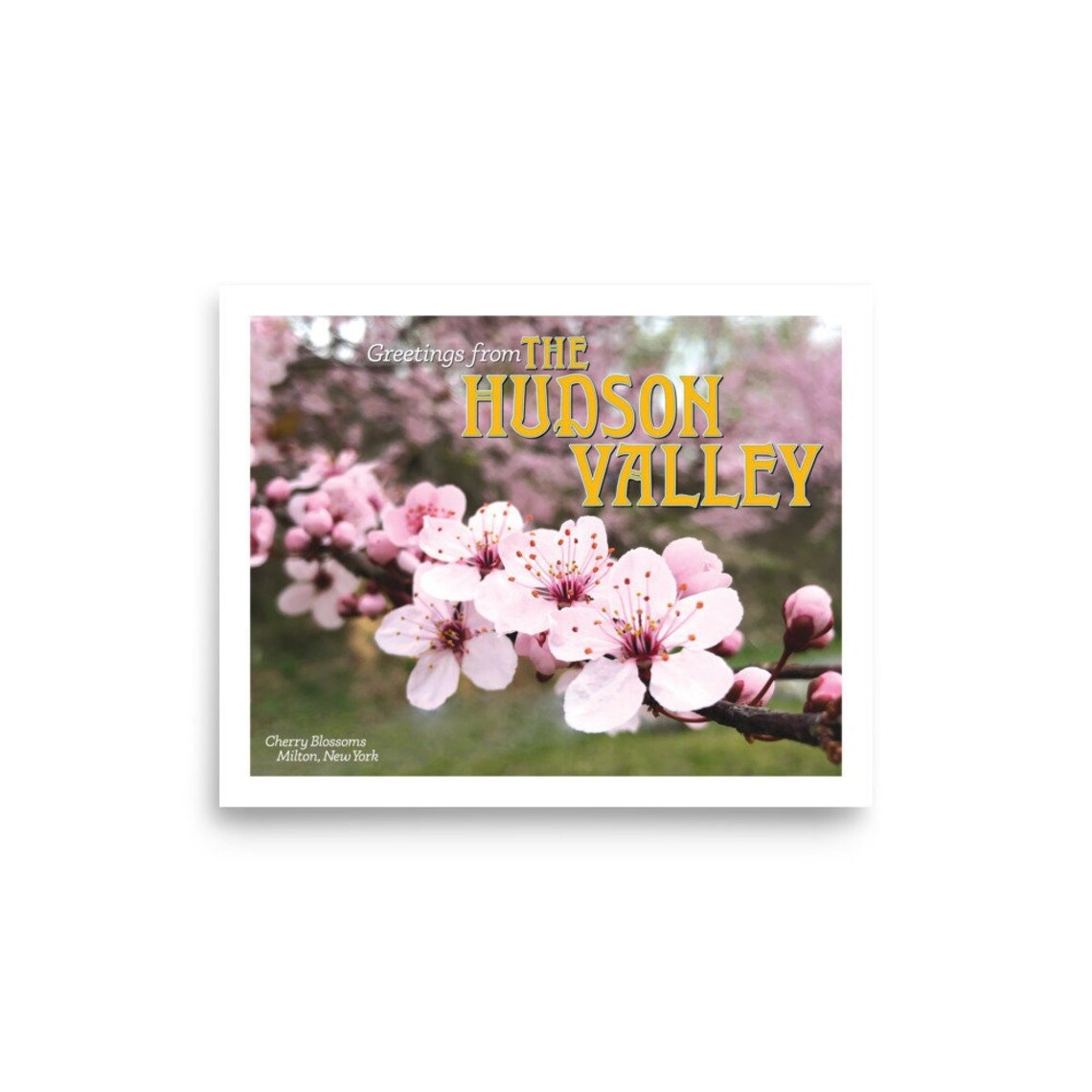 Hudson Valley Bloossoms Print