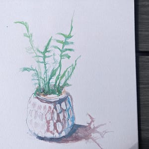 Plant