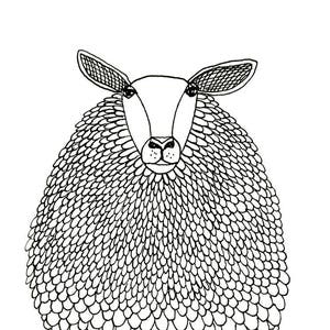 Sheep print illustration art print