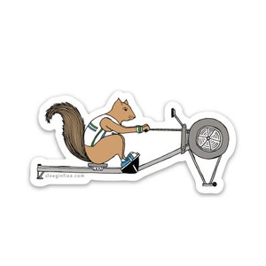 Rowing squirrel vinyl sticker image 1