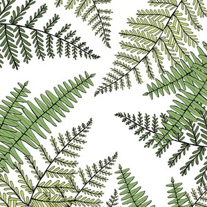 Fern print illustration image 1