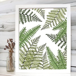 Fern print illustration image 2