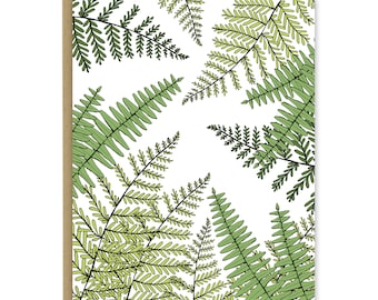 Ferns Greeting Card