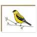 see more listings in the cards - everyday section