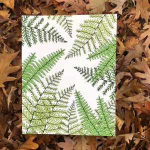 Fern print illustration image 3