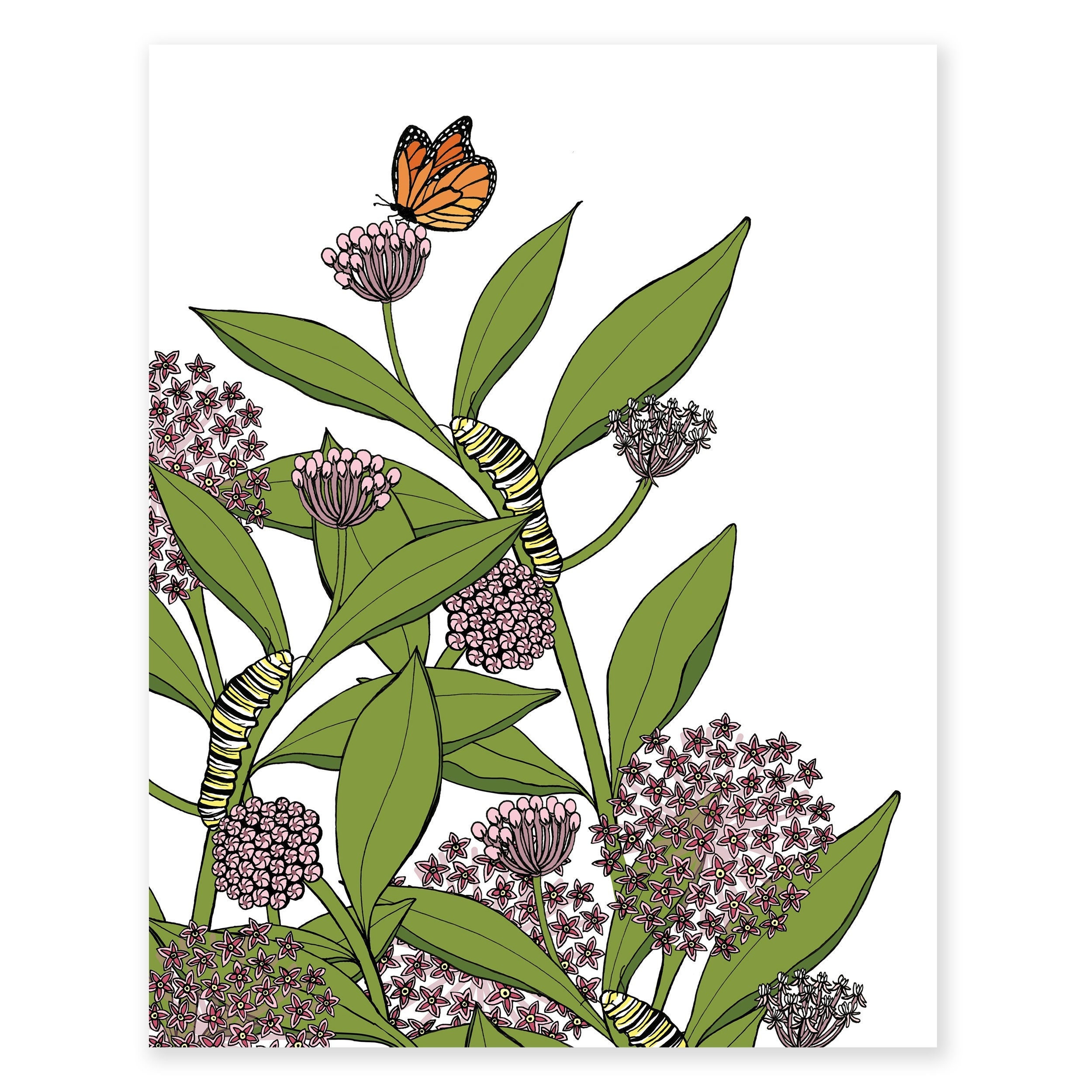 Free Clipart Milkweed Plants