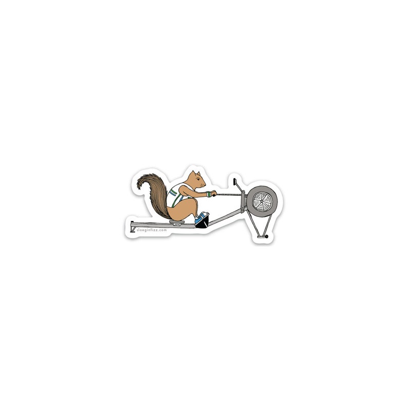 Rowing squirrel vinyl sticker image 1