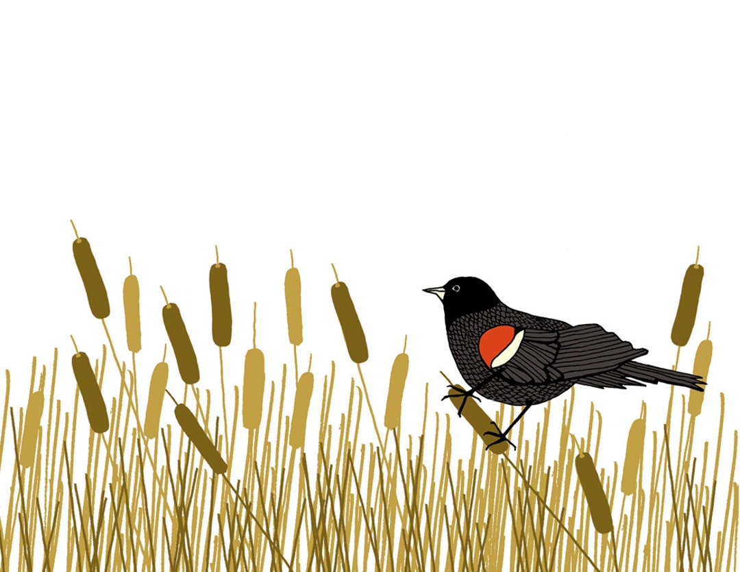 Red-winged Blackbird Print - Etsy