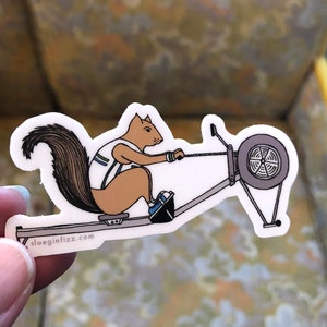 Rowing squirrel vinyl sticker image 3