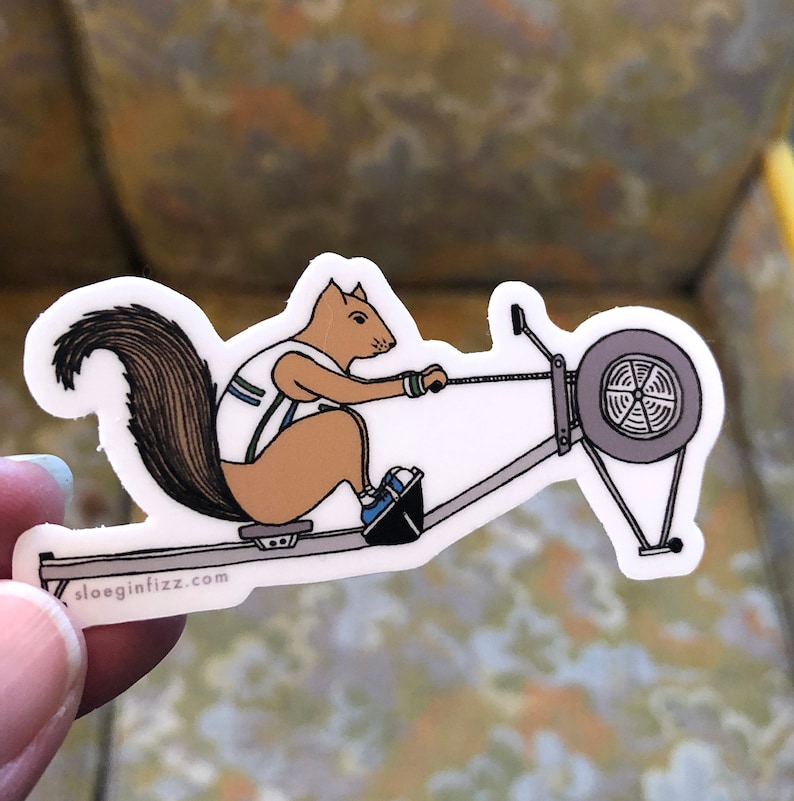 Rowing squirrel vinyl sticker image 3