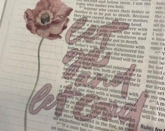 Bible Journal Vellum Inserts — Set of 9