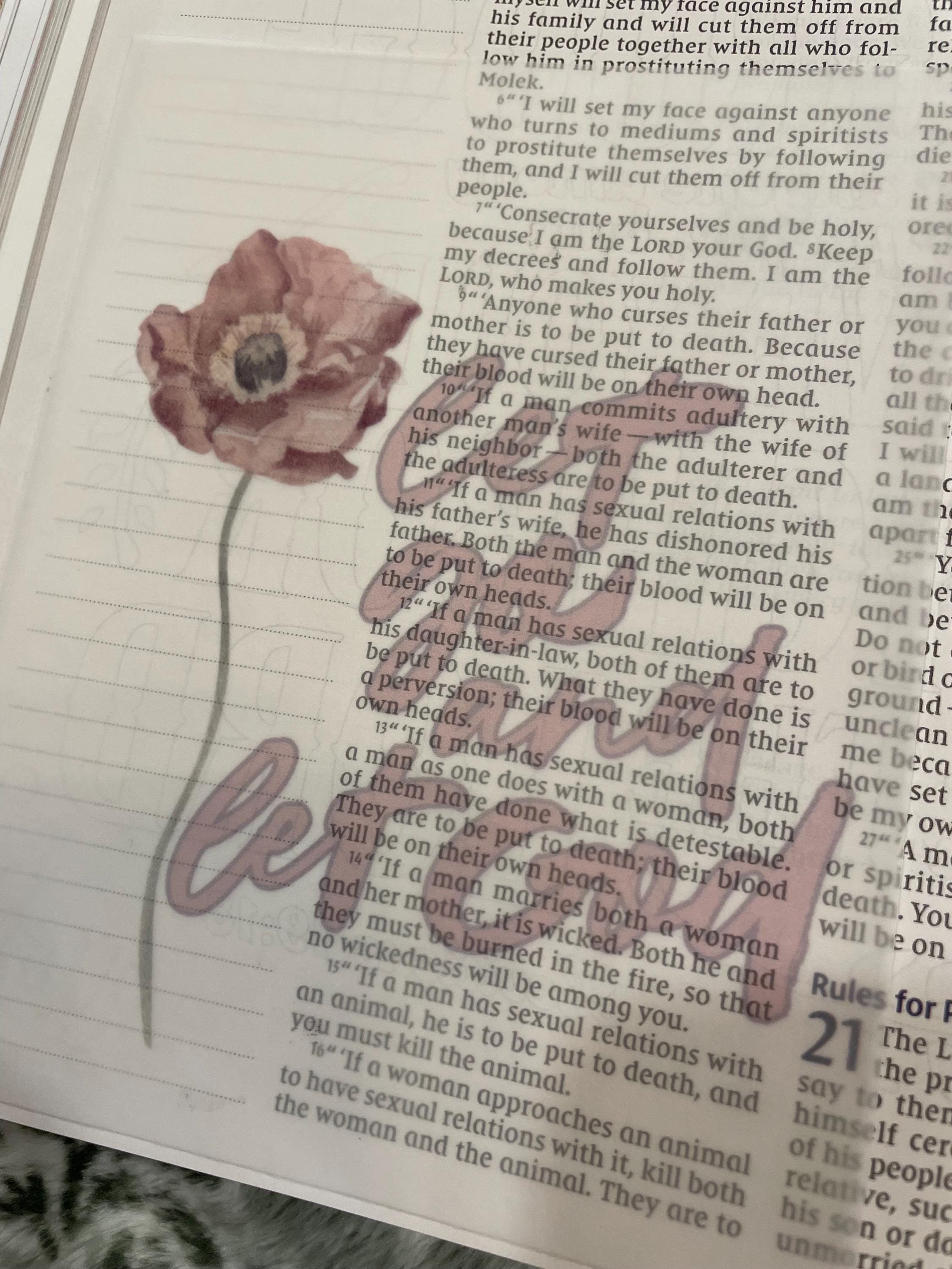 Bible Journal Vellum Inserts — Set of 9 - Etsy