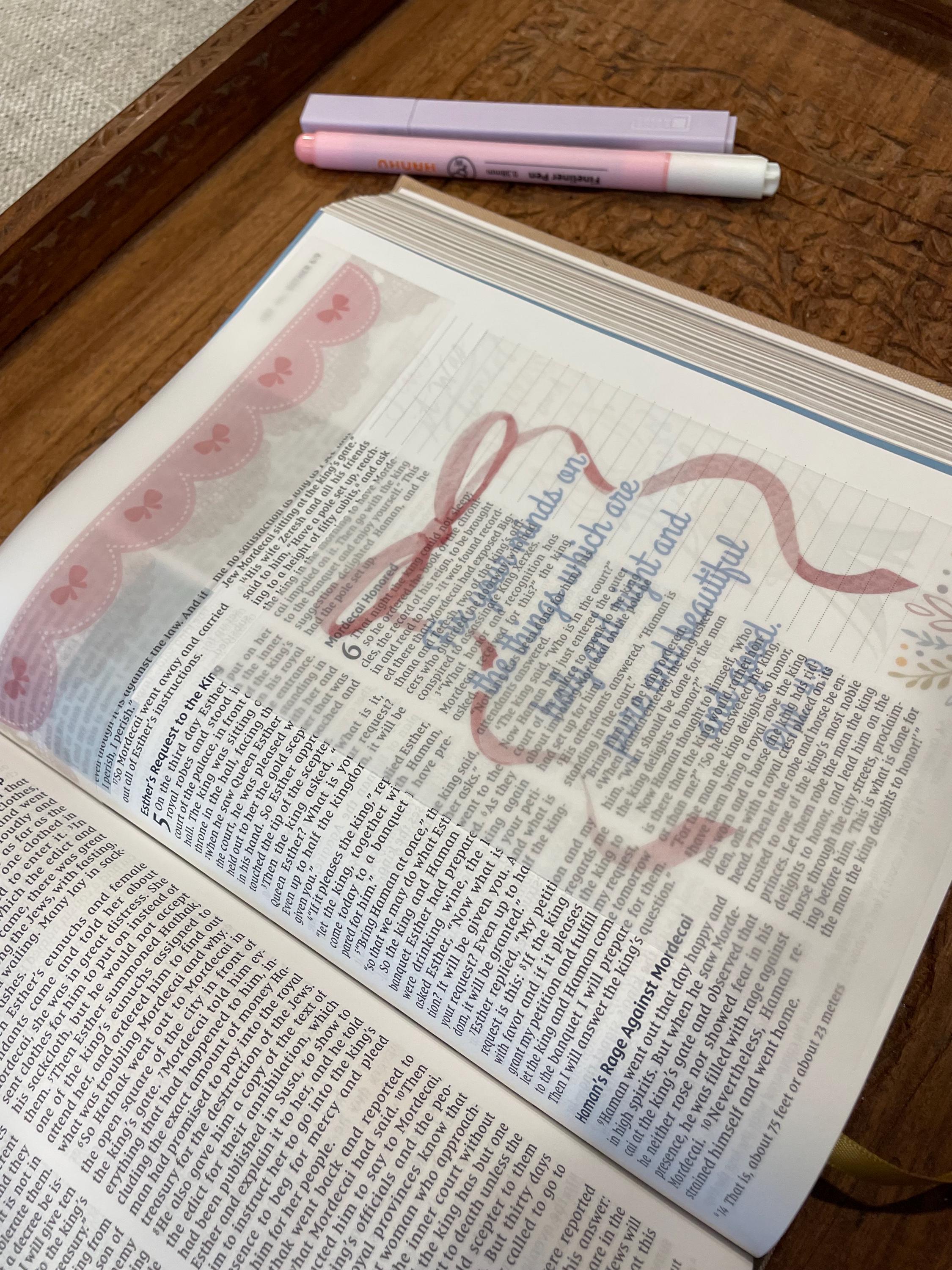 Bible Journal Vellum Inserts — “coquette Christian Girly” Set of 11 - Etsy