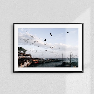 Seaside Birds in Istanbul – Turkish Coastline Print, Seagulls Photography, Melancholy Blue Wall Art, Digital Download for Calm Interiors